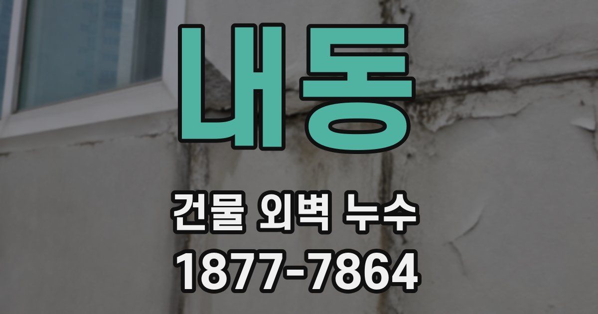 내동 건물 외벽 누수