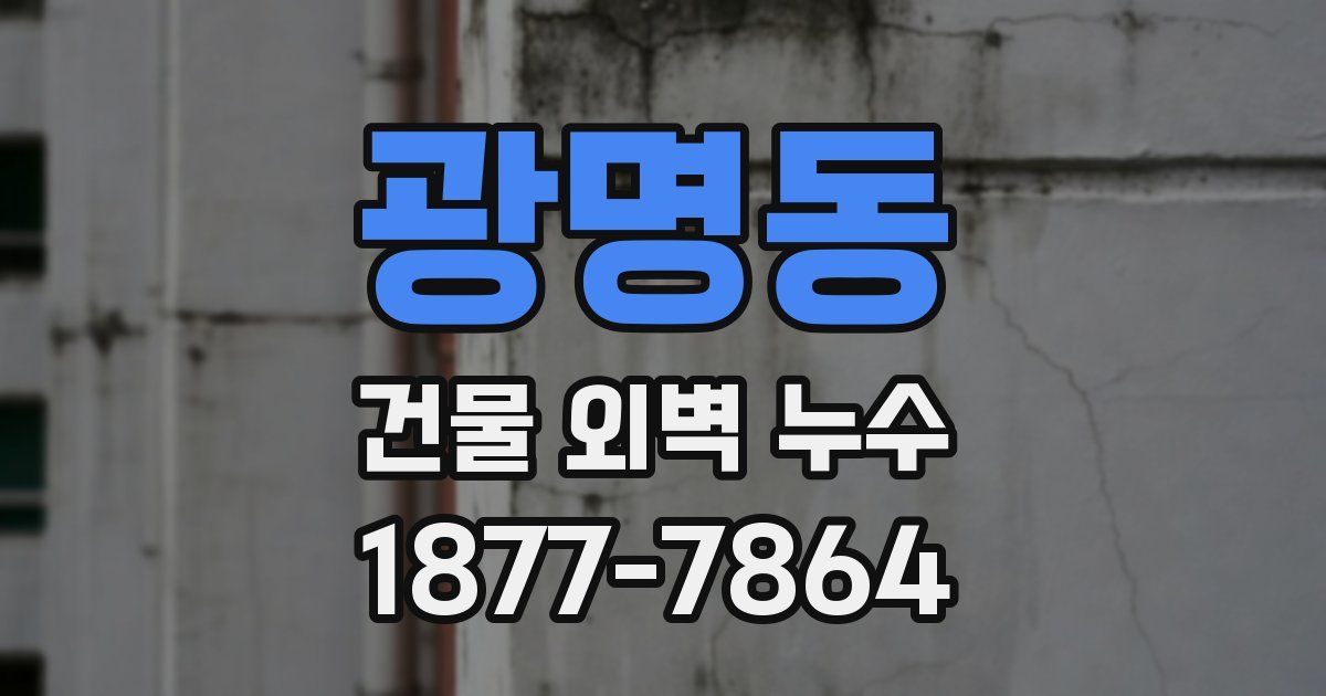 광명동 건물 외벽 누수