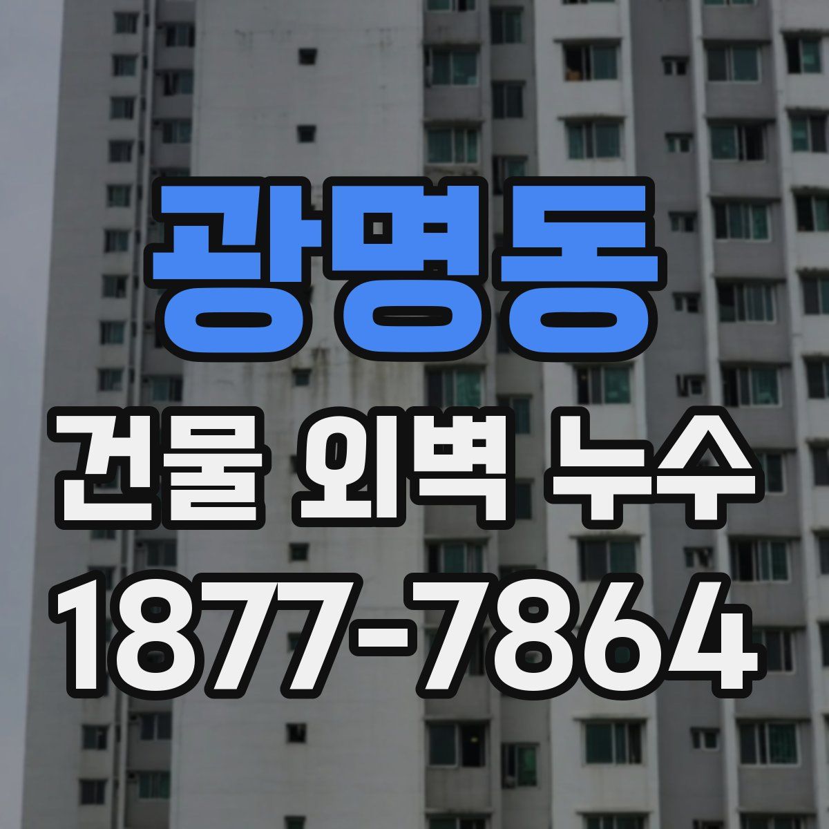 광명동 건물 외벽 누수