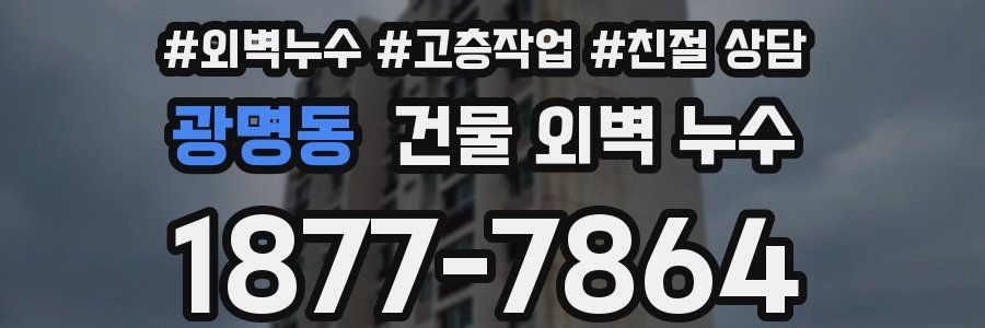 광명동 건물 외벽 누수