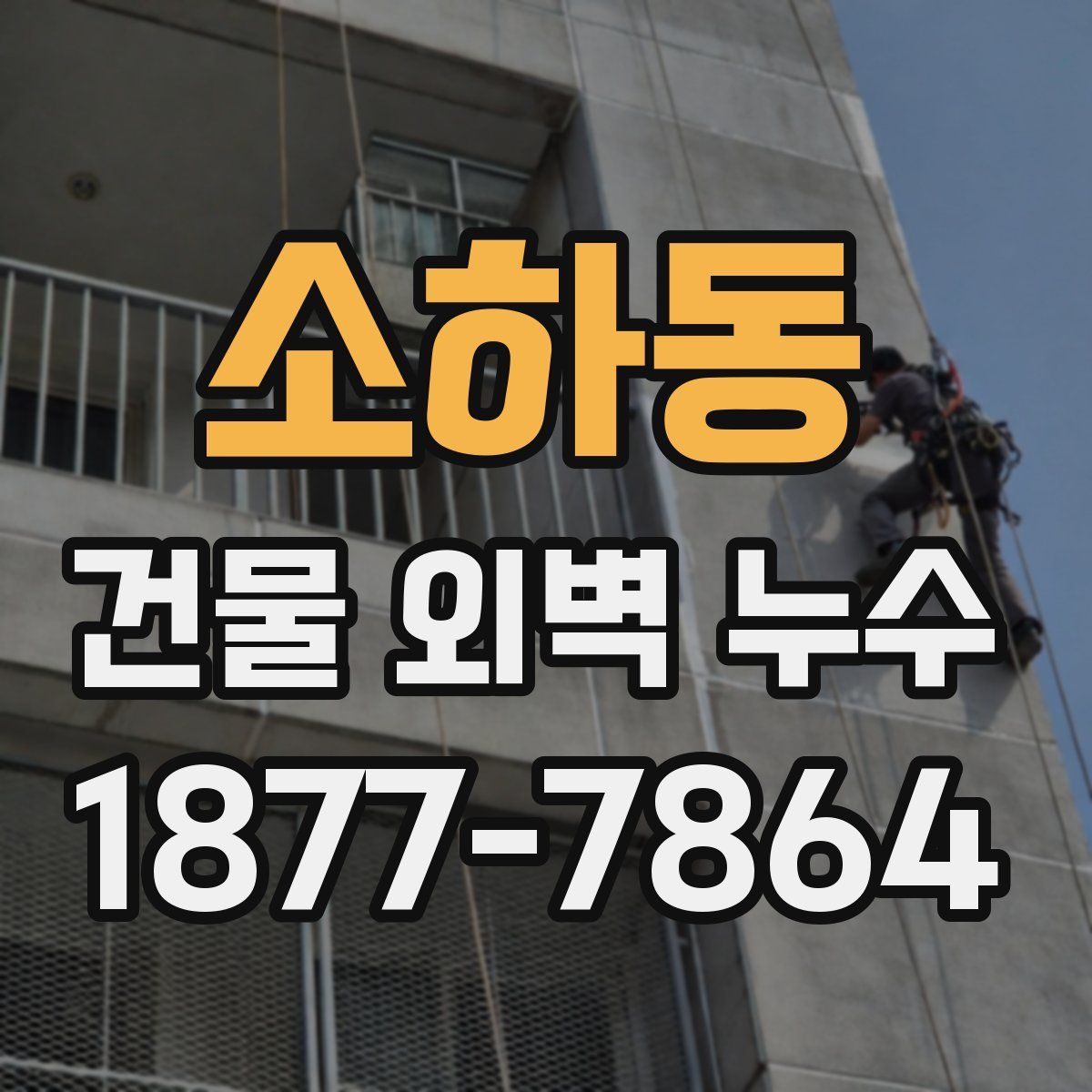 소하동 건물 외벽 누수