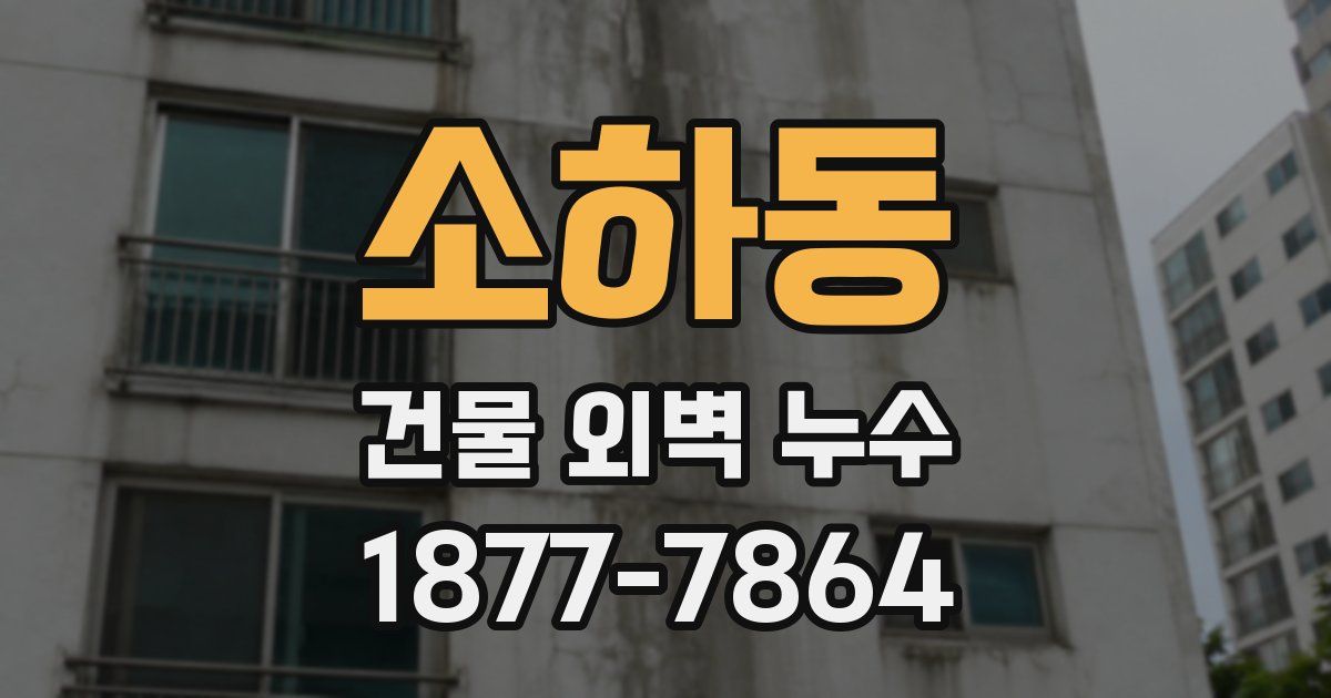 소하동 건물 외벽 누수