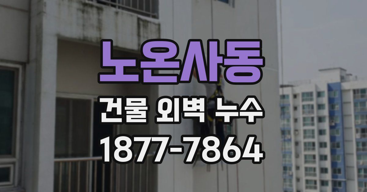 노온사동 건물 외벽 누수