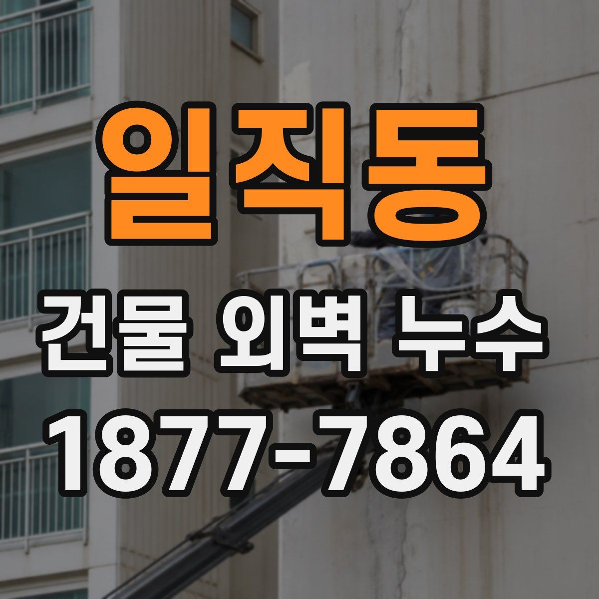 일직동 건물 외벽 누수