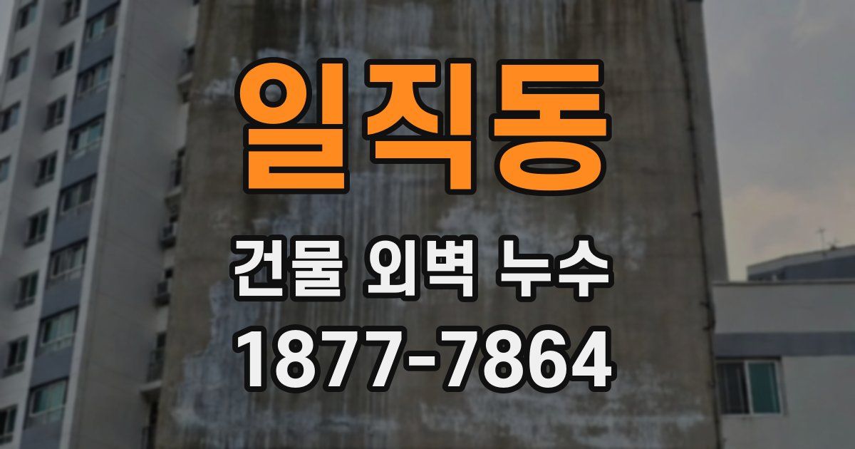 일직동 건물 외벽 누수