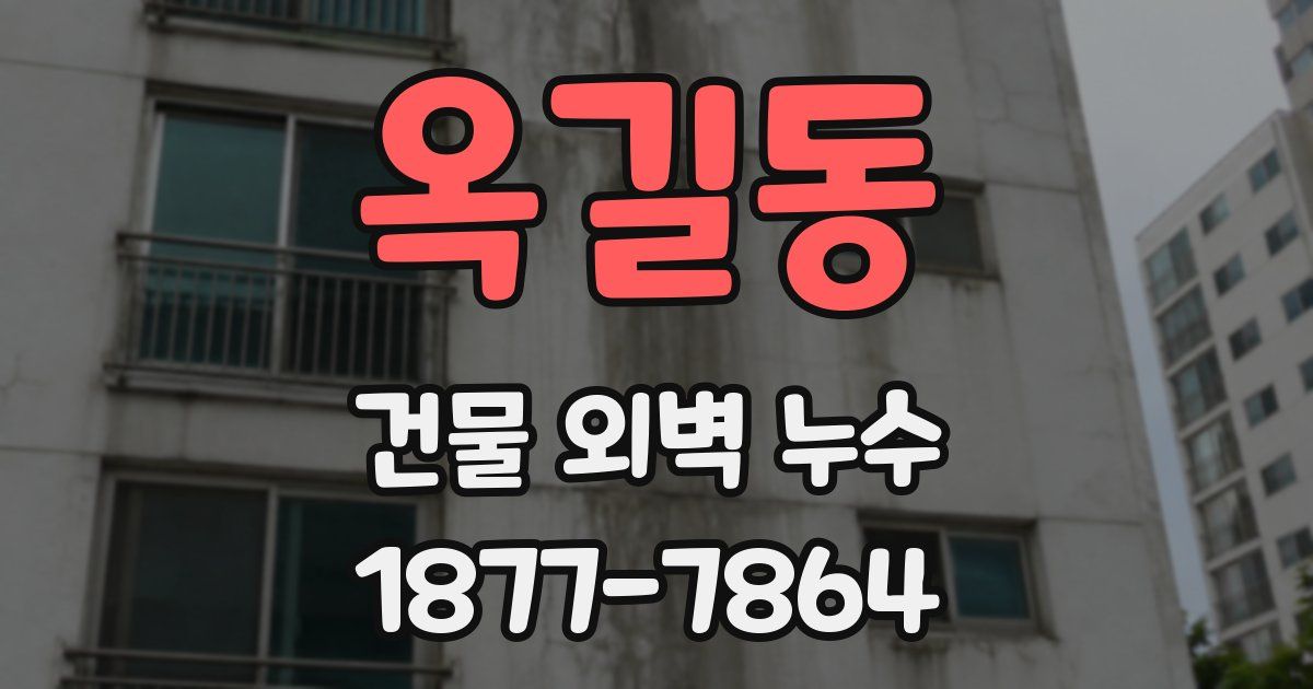 옥길동 건물 외벽 누수