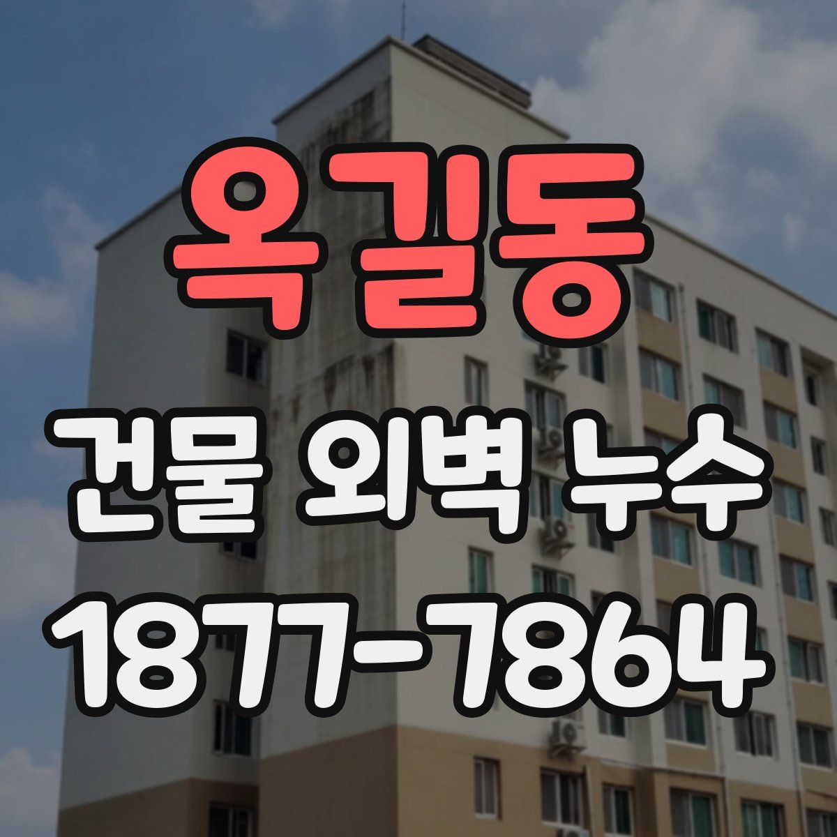 옥길동 건물 외벽 누수