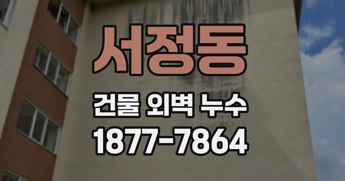 서정동 건물 외벽 누수
