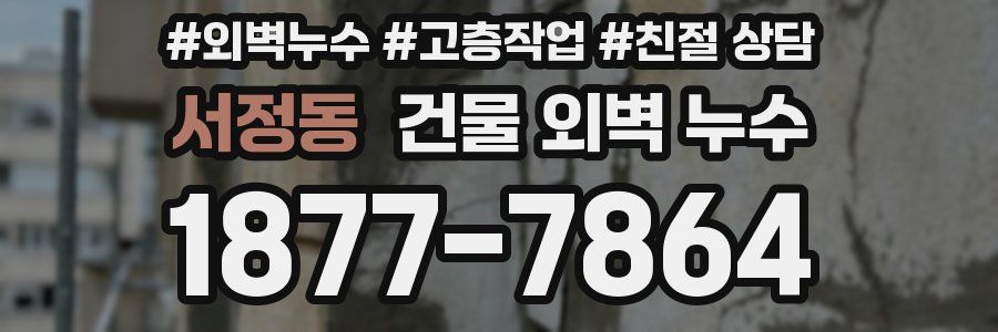 서정동 건물 외벽 누수