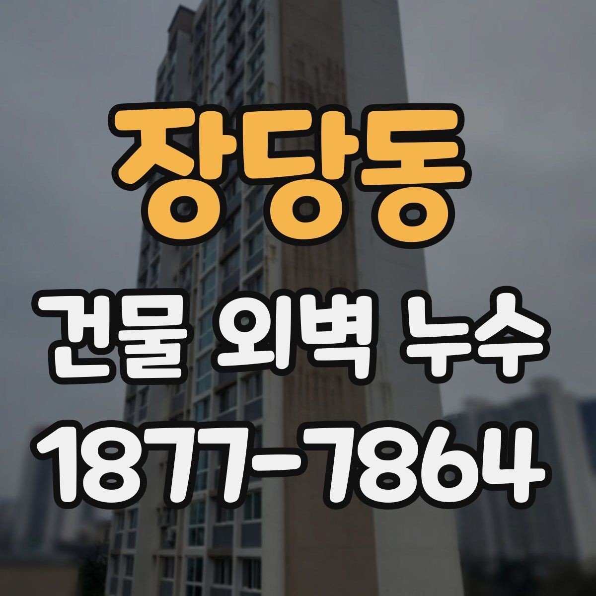 장당동 건물 외벽 누수 의심 부위의 특징