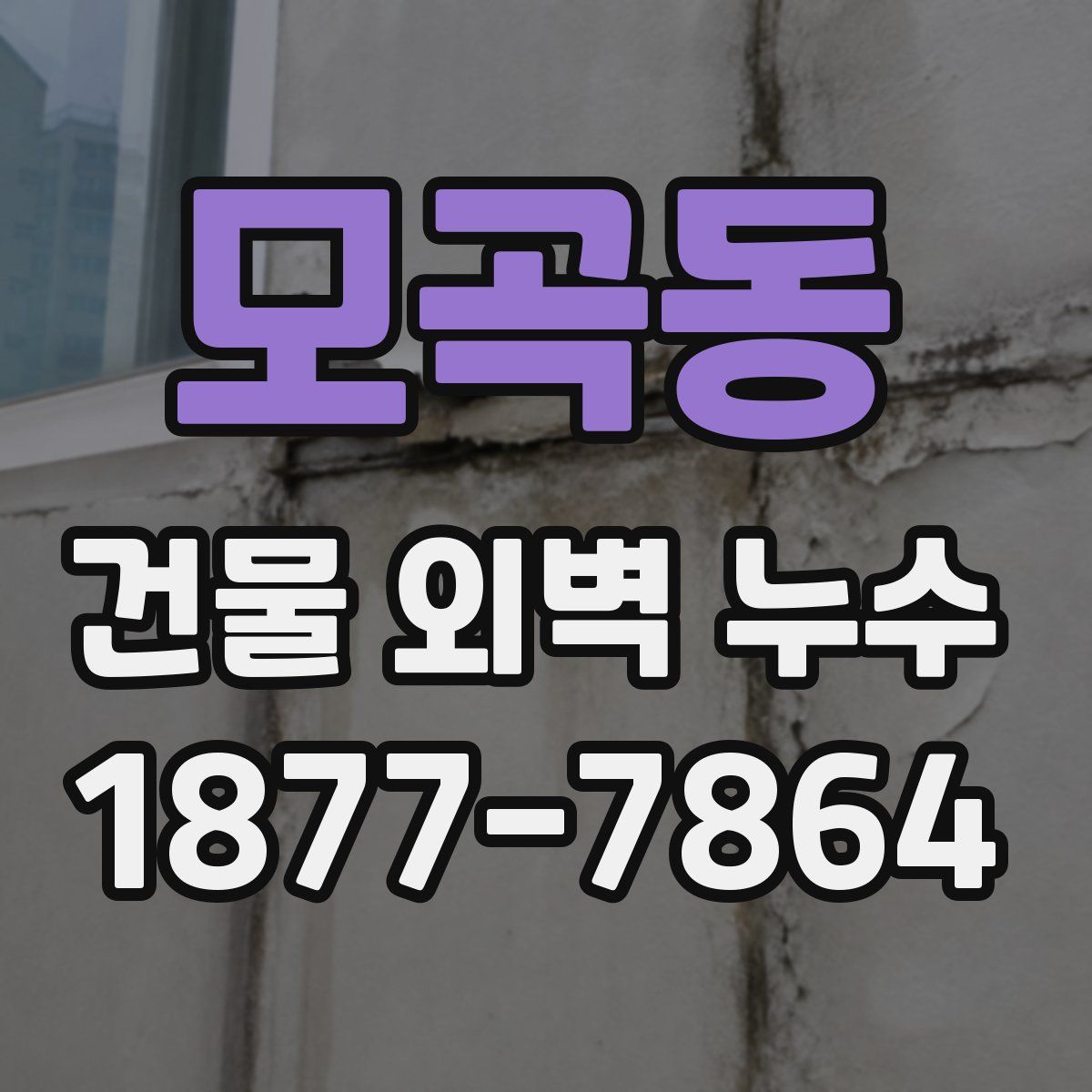 모곡동 건물 외벽 누수