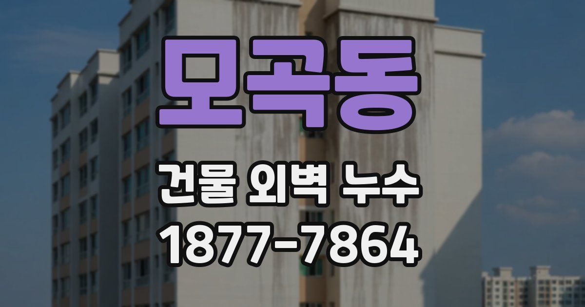 모곡동 건물 외벽 누수