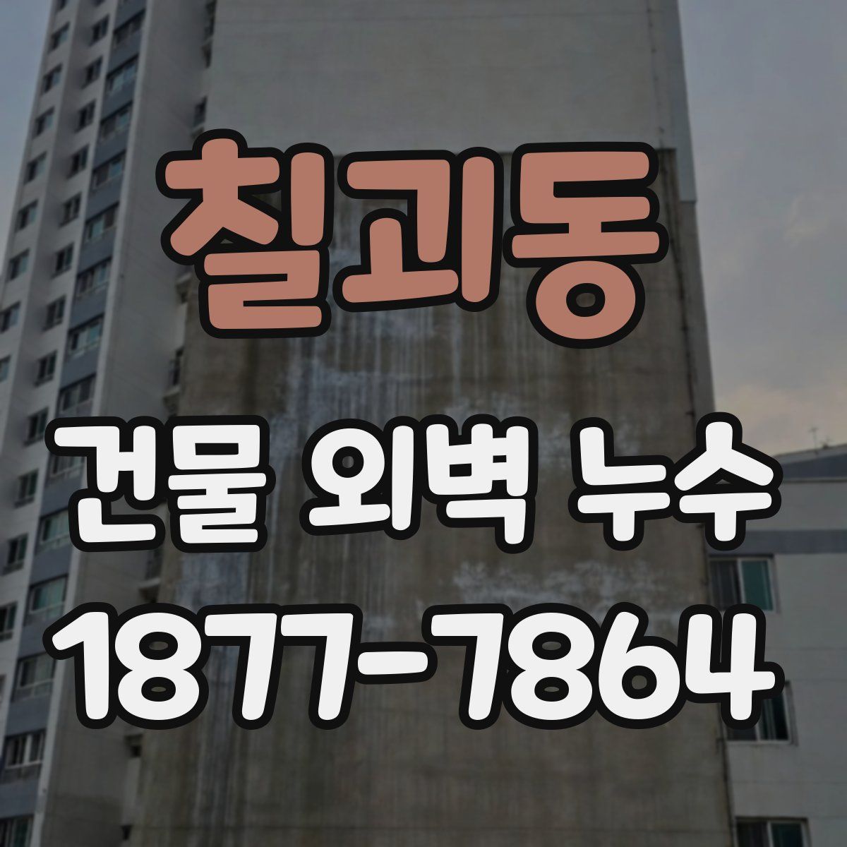 칠괴동 건물 외벽 누수