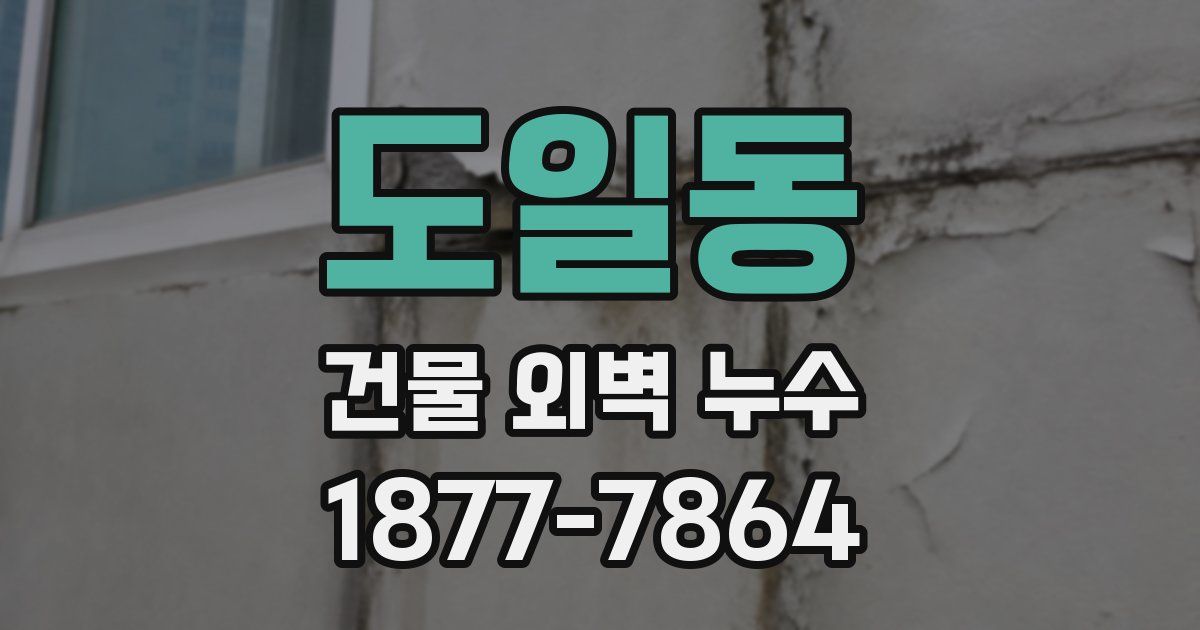 도일동 건물 외벽 누수