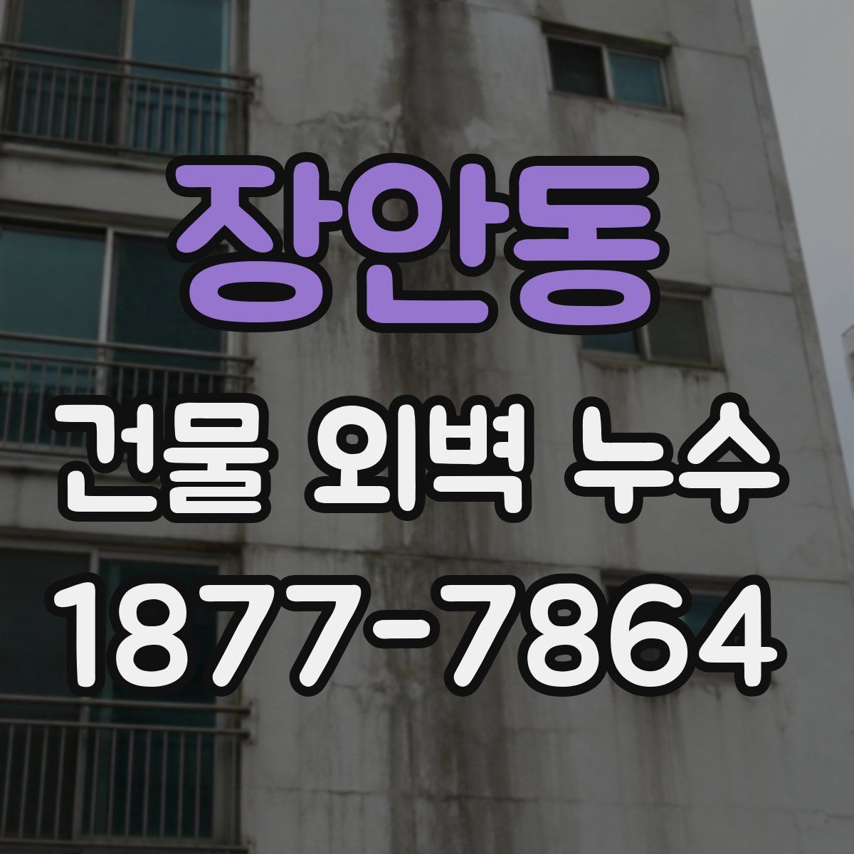 장안동 건물 외벽 누수