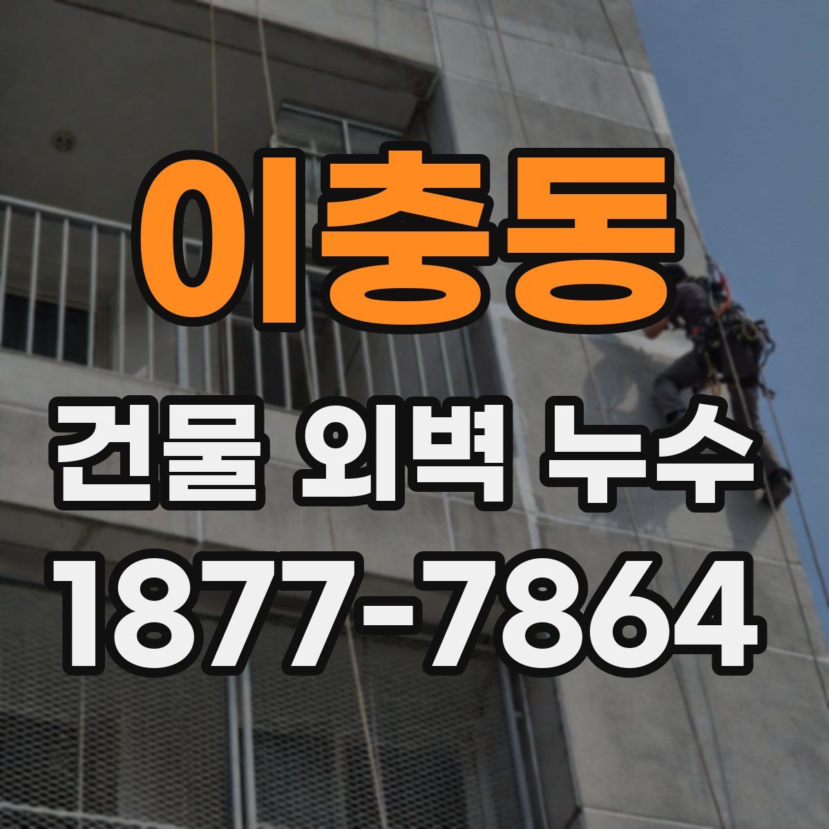 이충동 건물 외벽 누수
