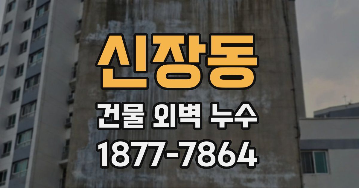 신장동 건물 외벽 누수