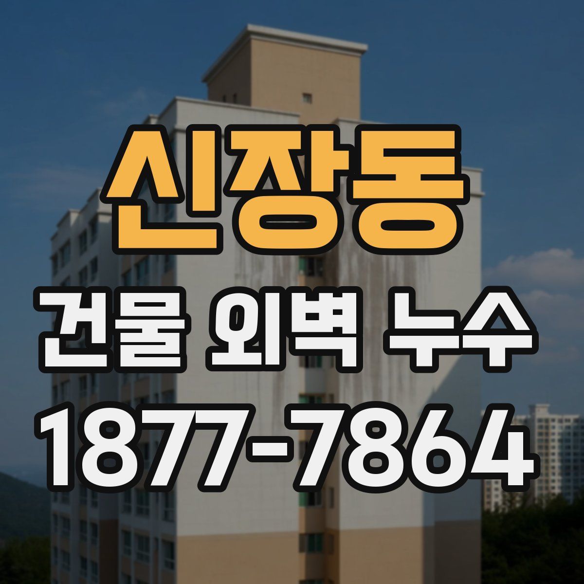 신장동 건물 외벽 누수