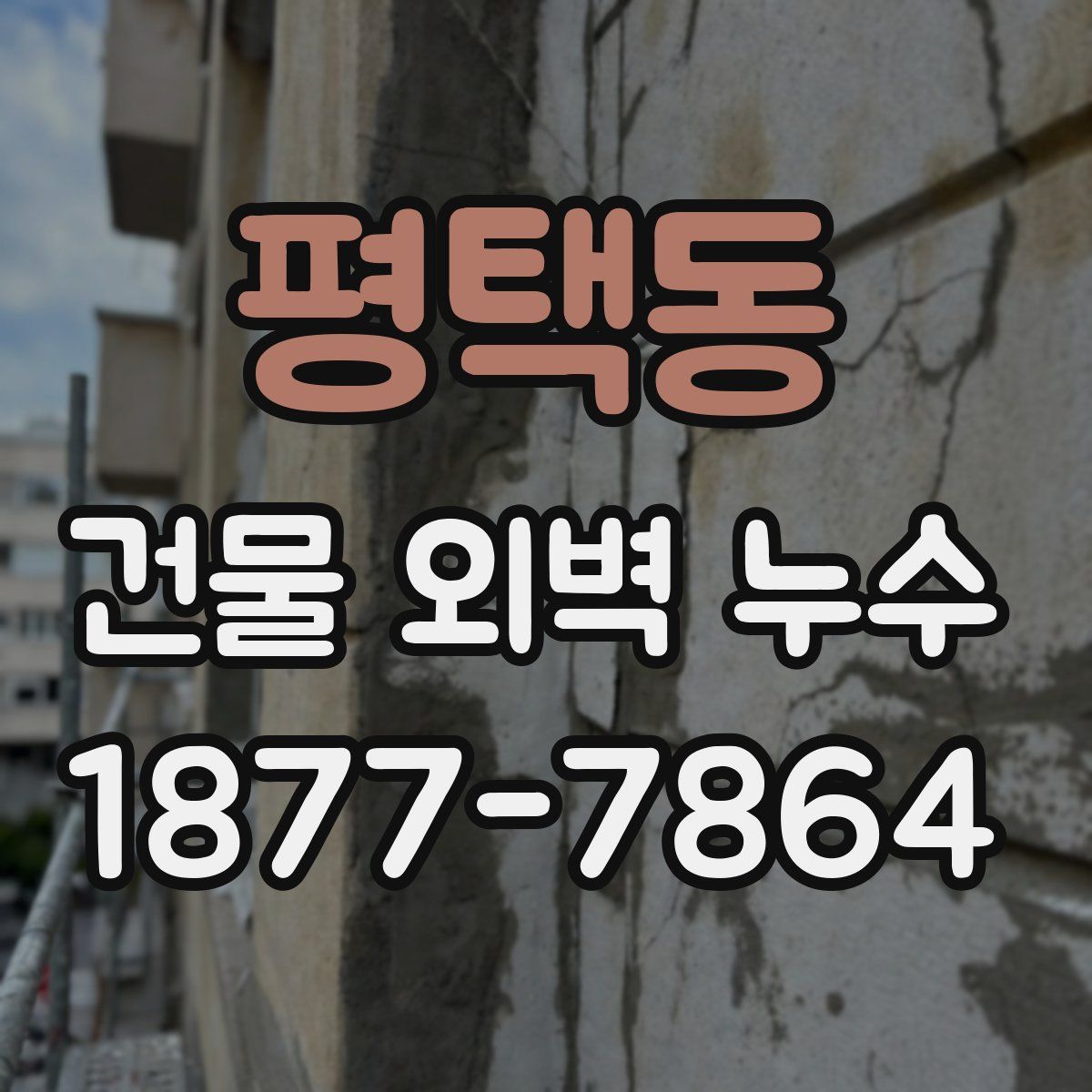 평택동 건물 외벽 누수