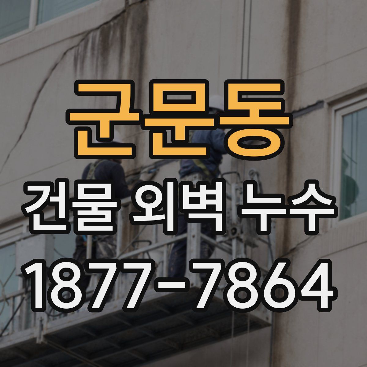 군문동 건물 외벽 누수