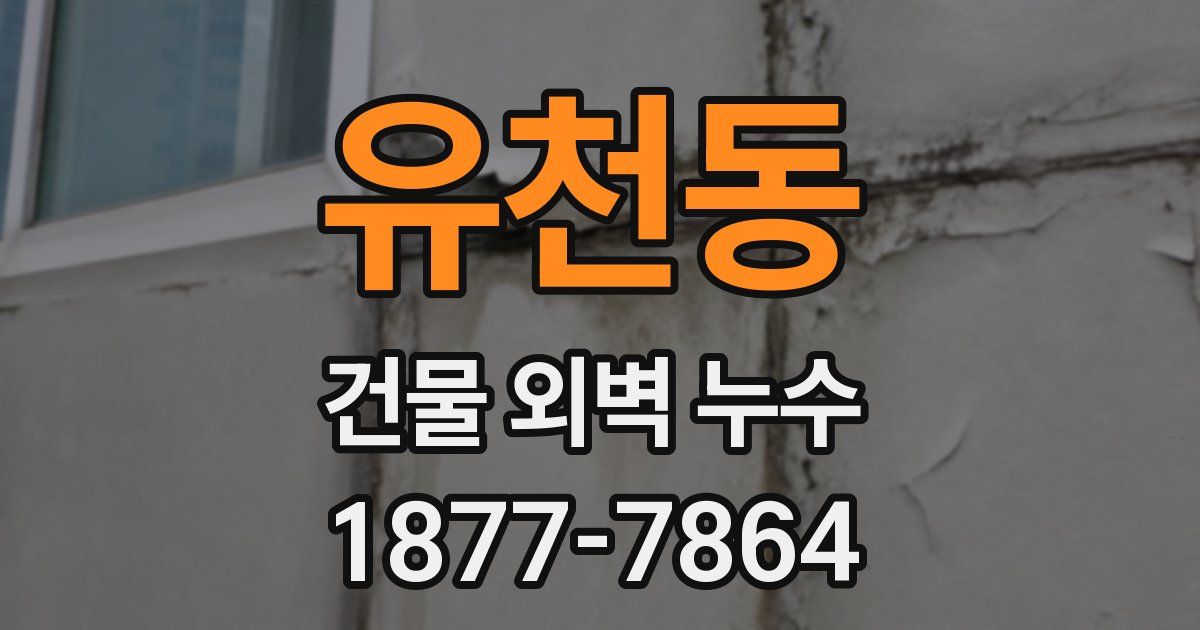 유천동 건물 외벽 누수