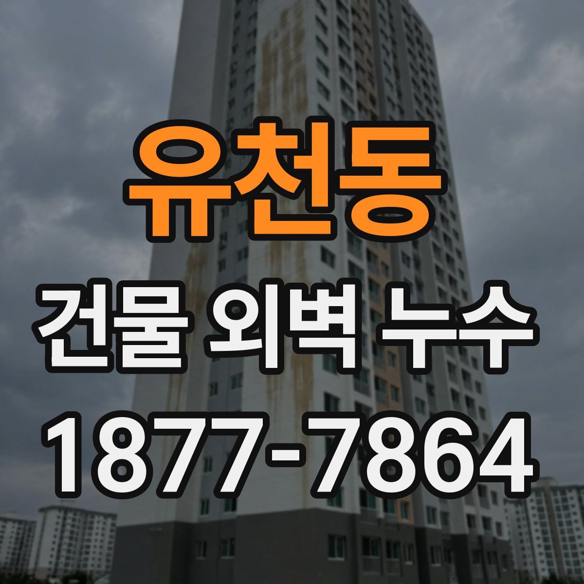 유천동 건물 외벽 누수