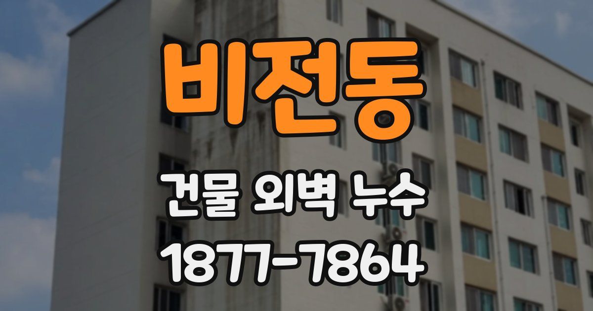비전동 건물 외벽 누수