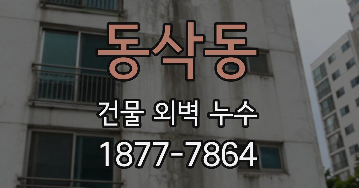 동삭동 건물 외벽 누수