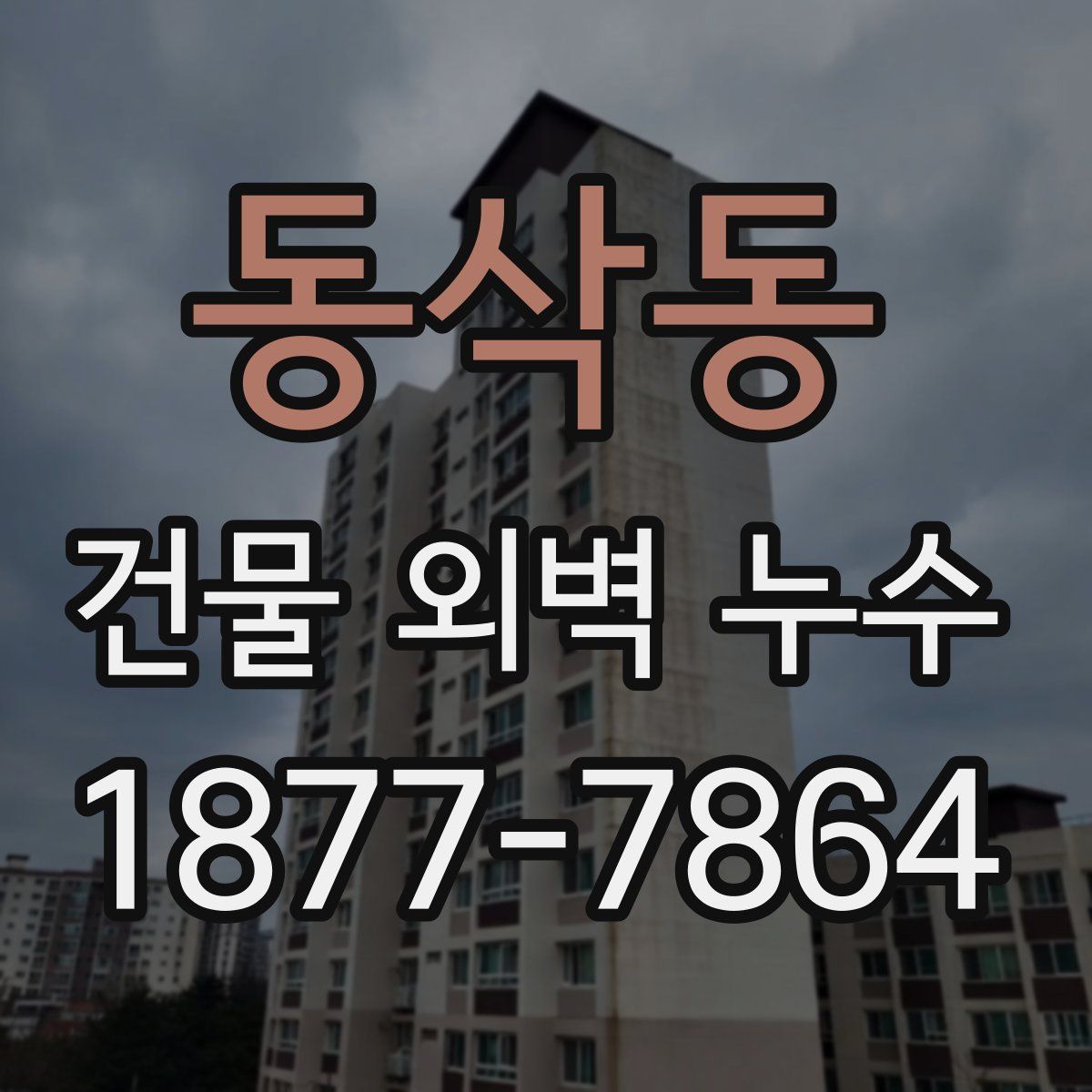 동삭동 건물 외벽 누수
