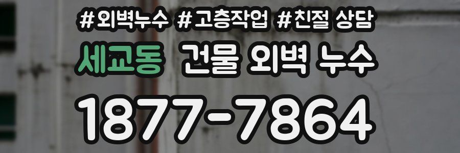 세교동 건물 외벽 누수