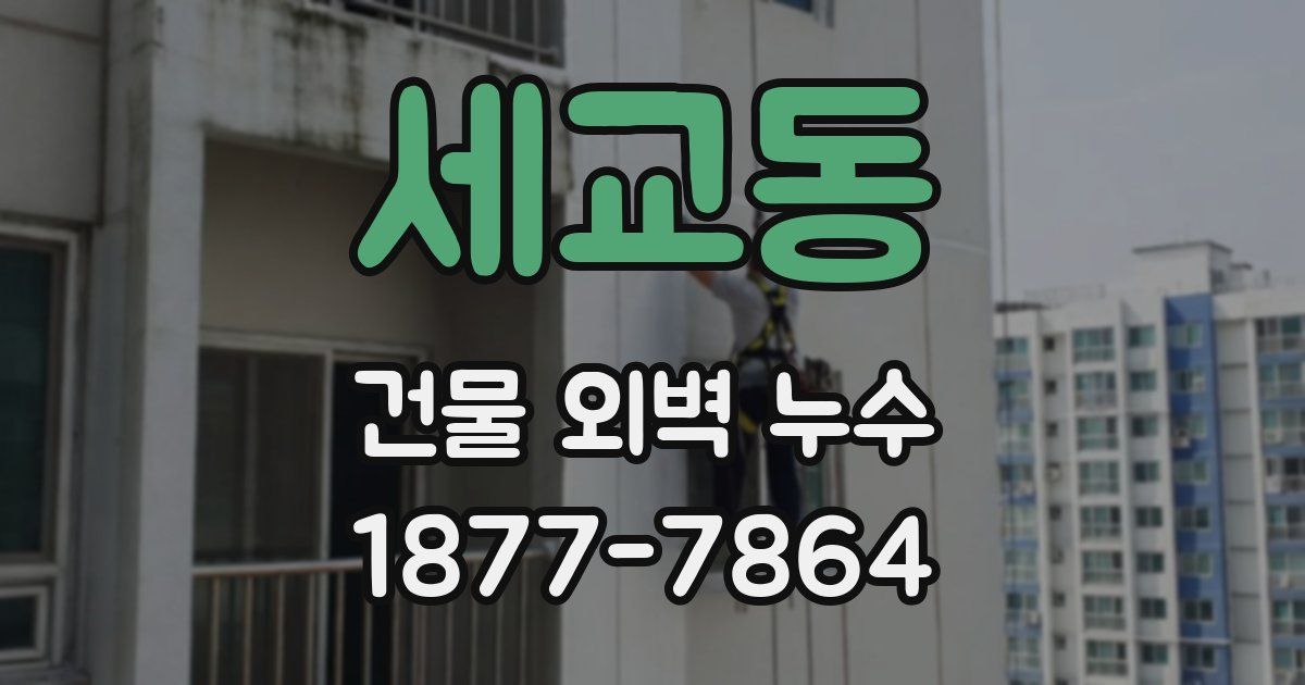 세교동 건물 외벽 누수