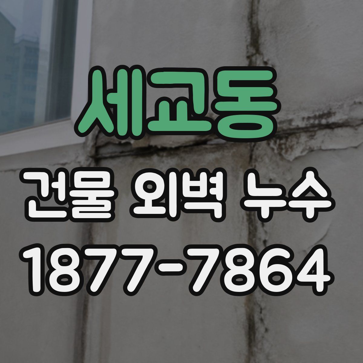 세교동 건물 외벽 누수