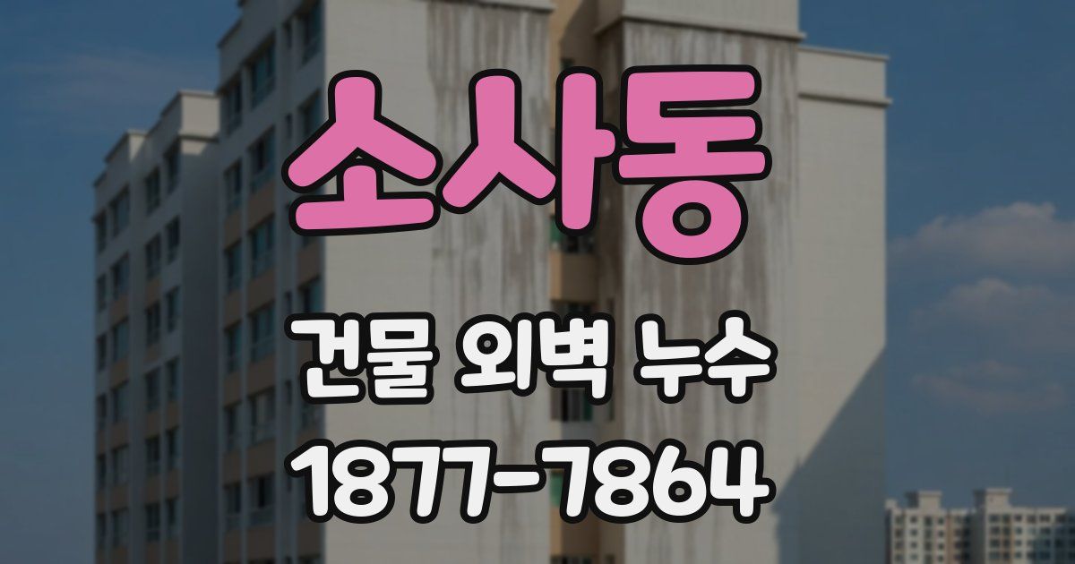 소사동 건물 외벽 누수