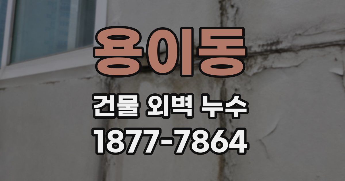 용이동 건물 외벽 누수