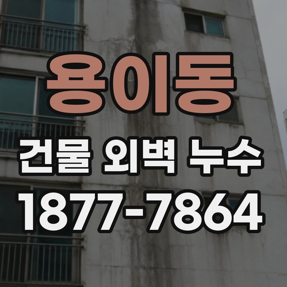 용이동 건물 외벽 누수