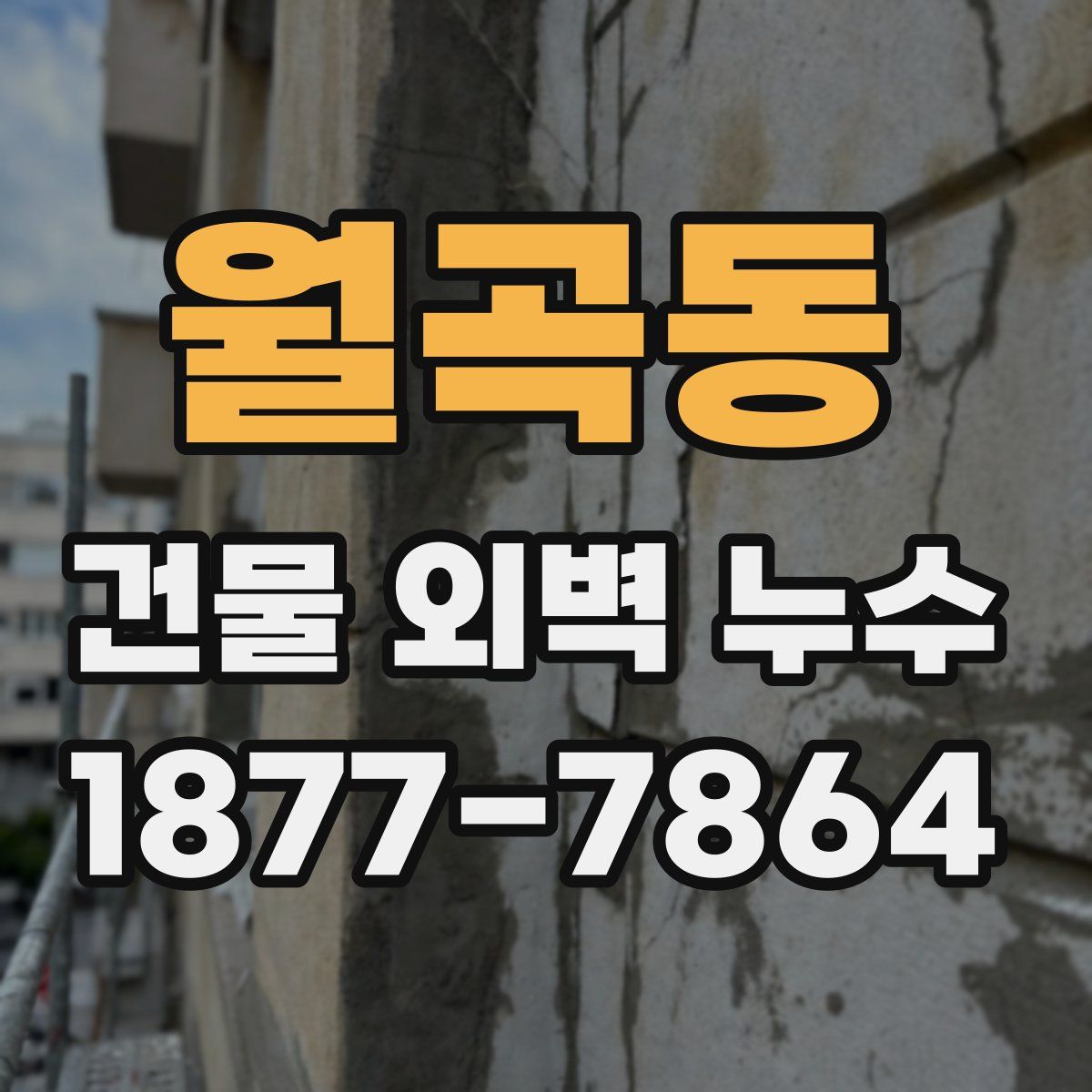 월곡동 건물 외벽 누수