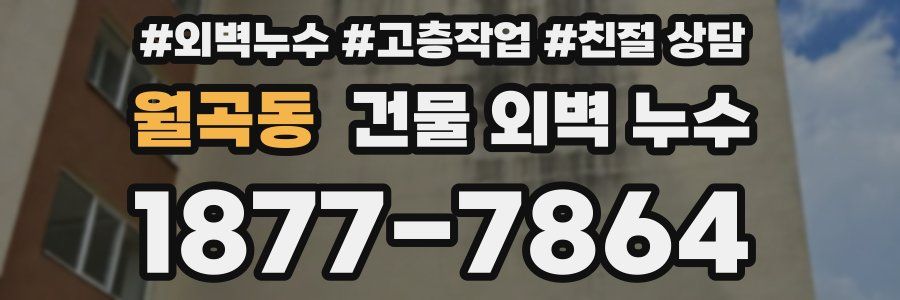 월곡동 건물 외벽 누수