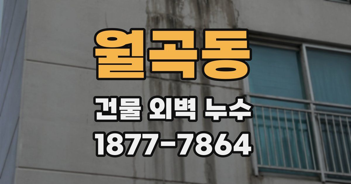 월곡동 건물 외벽 누수