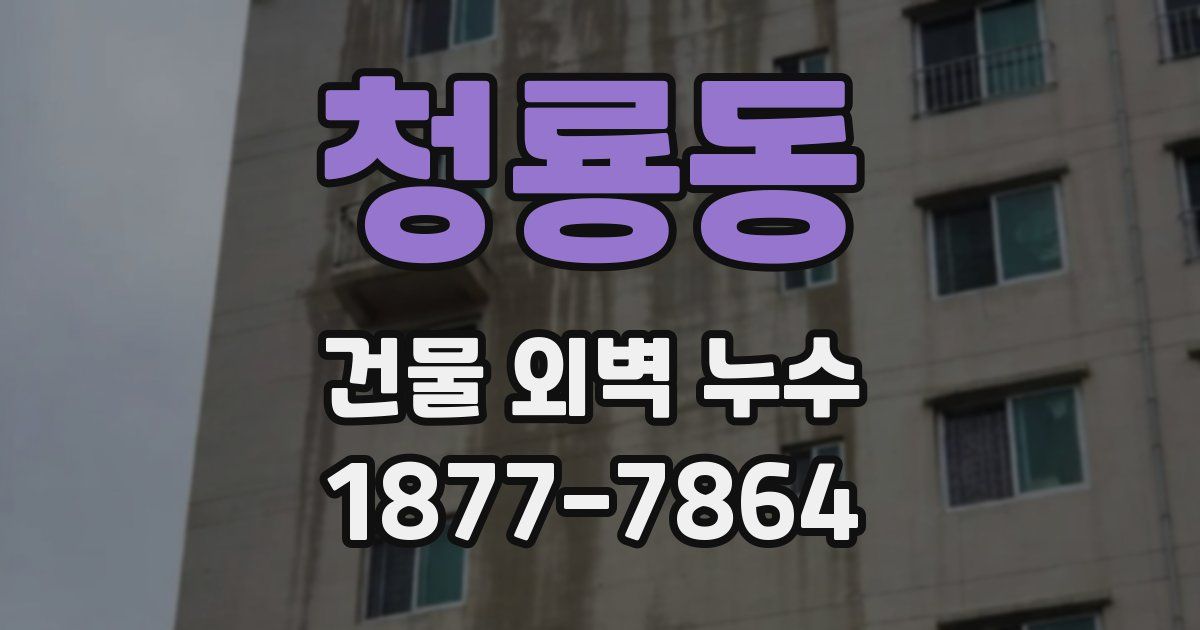 청룡동 건물 외벽 누수