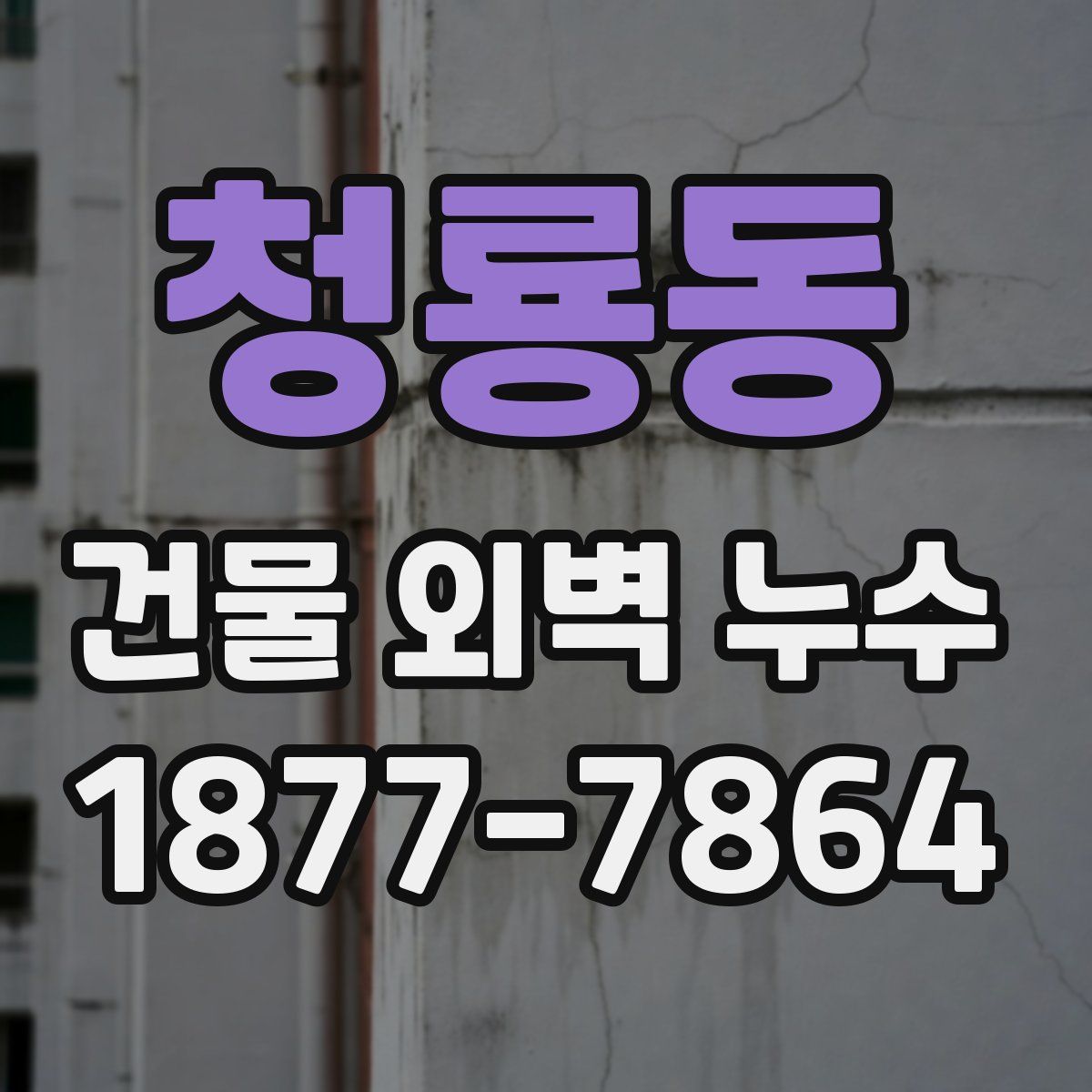 청룡동 건물 외벽 누수
