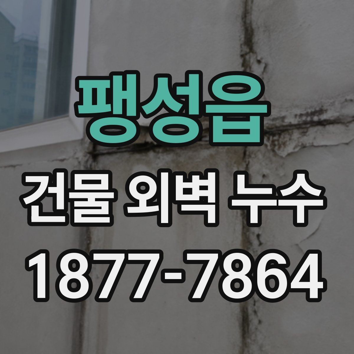 팽성읍 건물 외벽 누수 점검 결과를 바탕으로 한 보수 전략