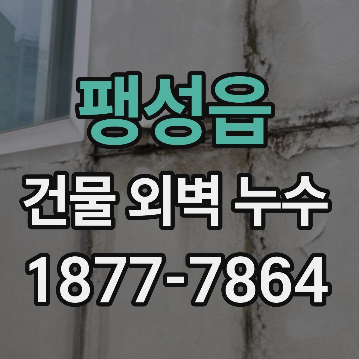 팽성읍 건물 외벽 누수