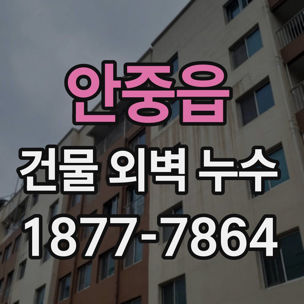 안중읍 건물 외벽 누수