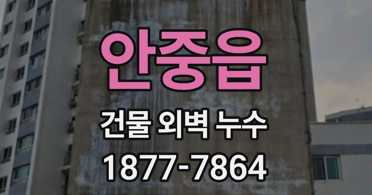 안중읍 건물 외벽 누수
