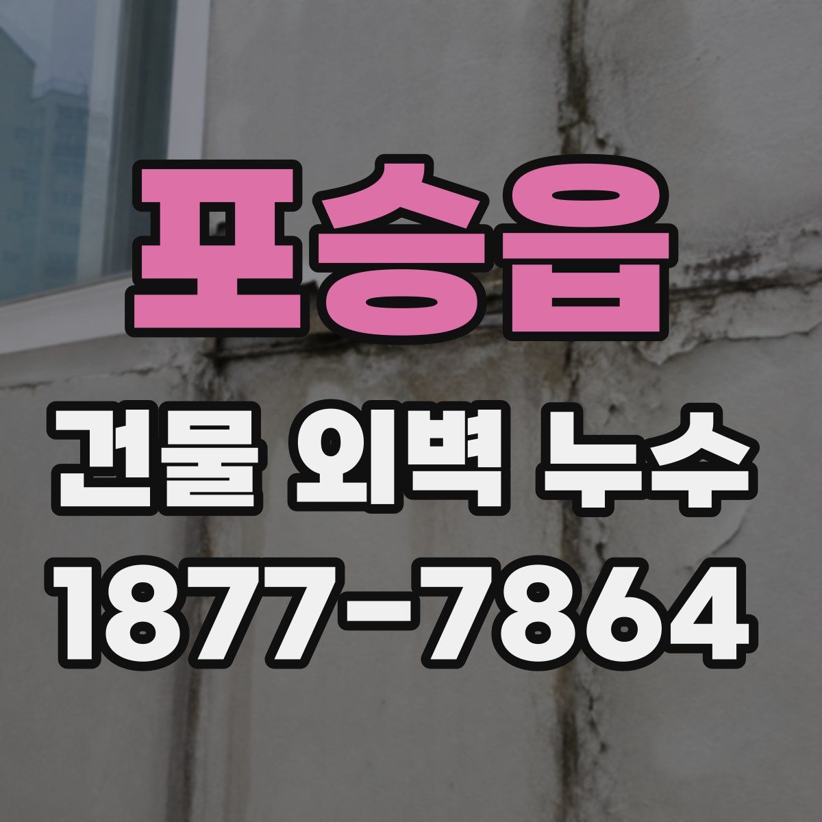 포승읍 건물 외벽 누수