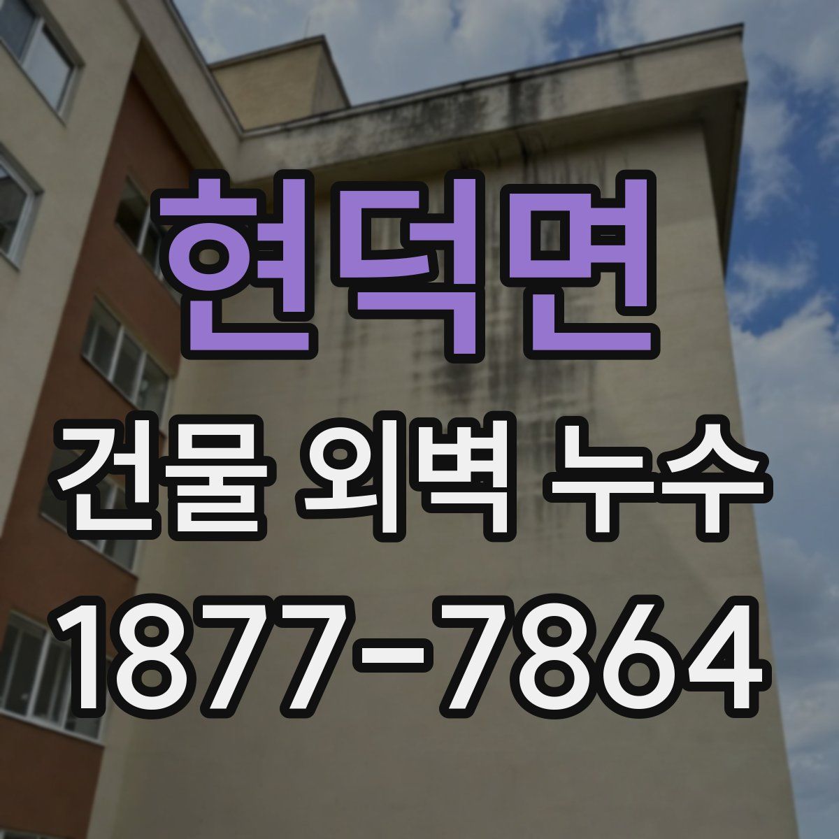 현덕면 건물 외벽 누수