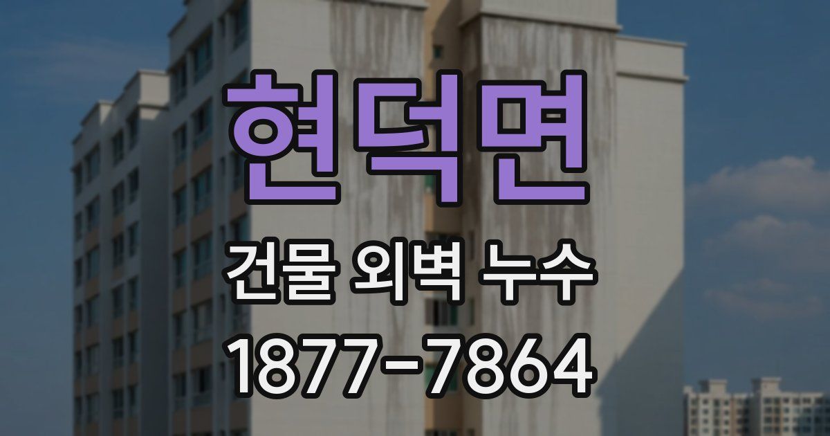 현덕면 건물 외벽 누수