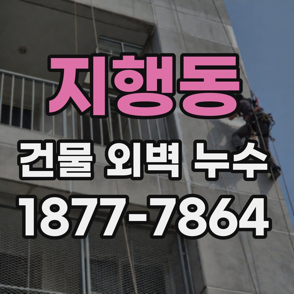 지행동 건물 외벽 누수