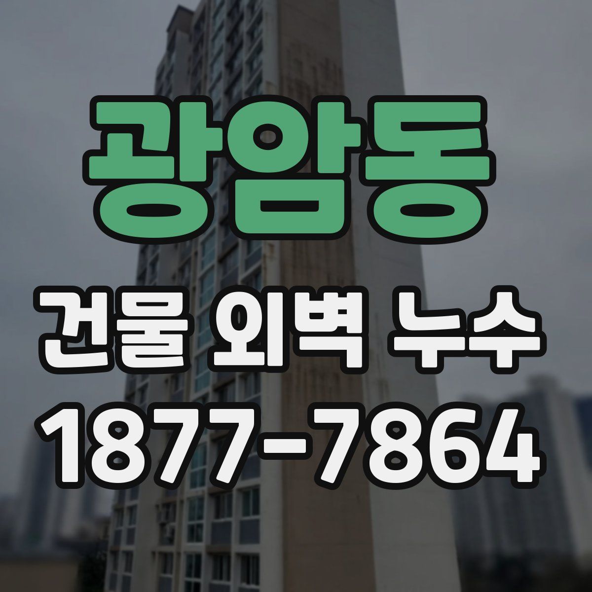 광암동 건물 외벽 누수