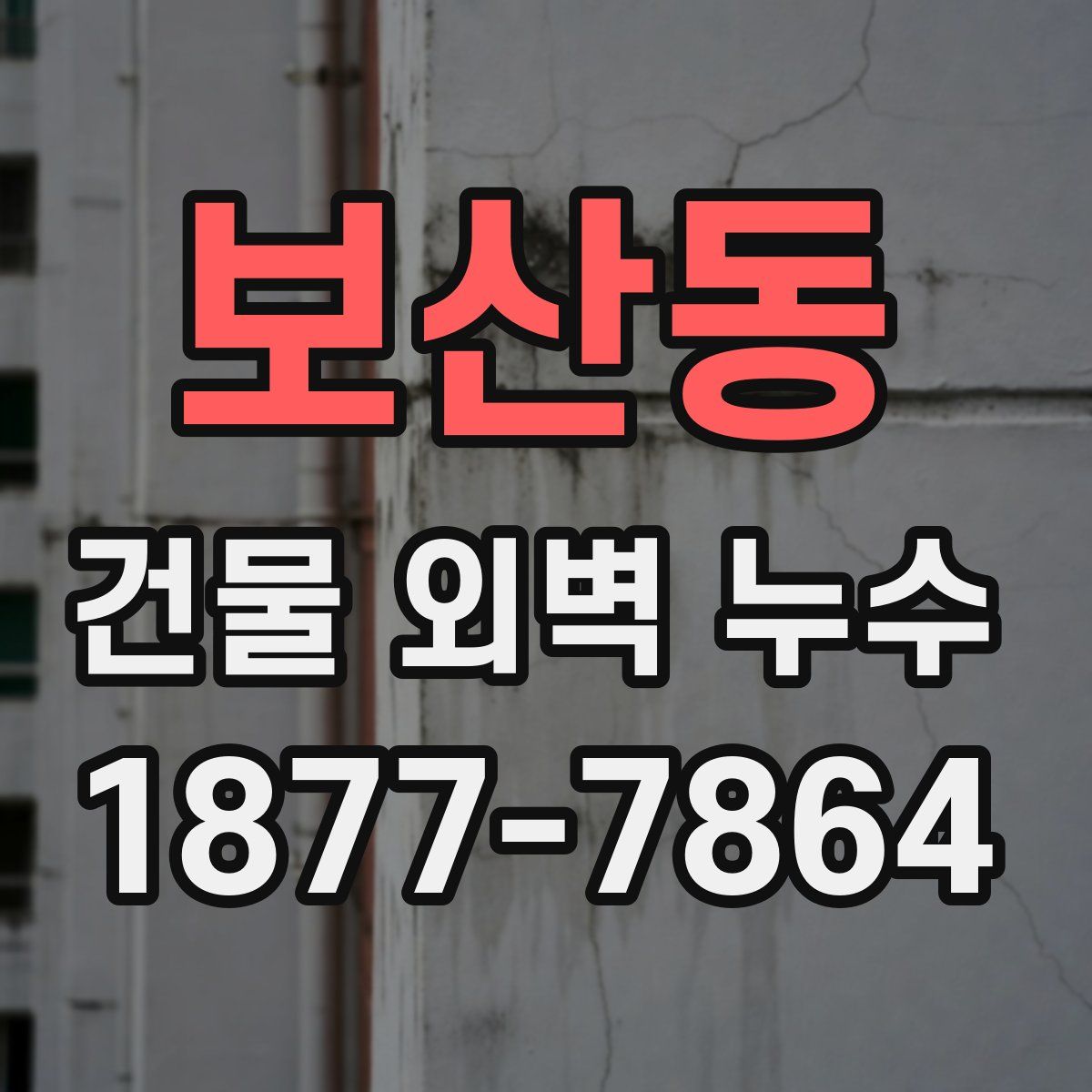보산동 건물 외벽 누수